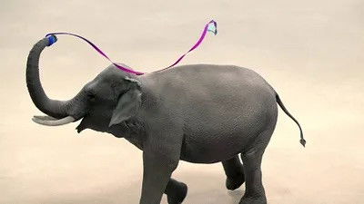 Still image for Athleticus season 1 episode 8: Episode 8