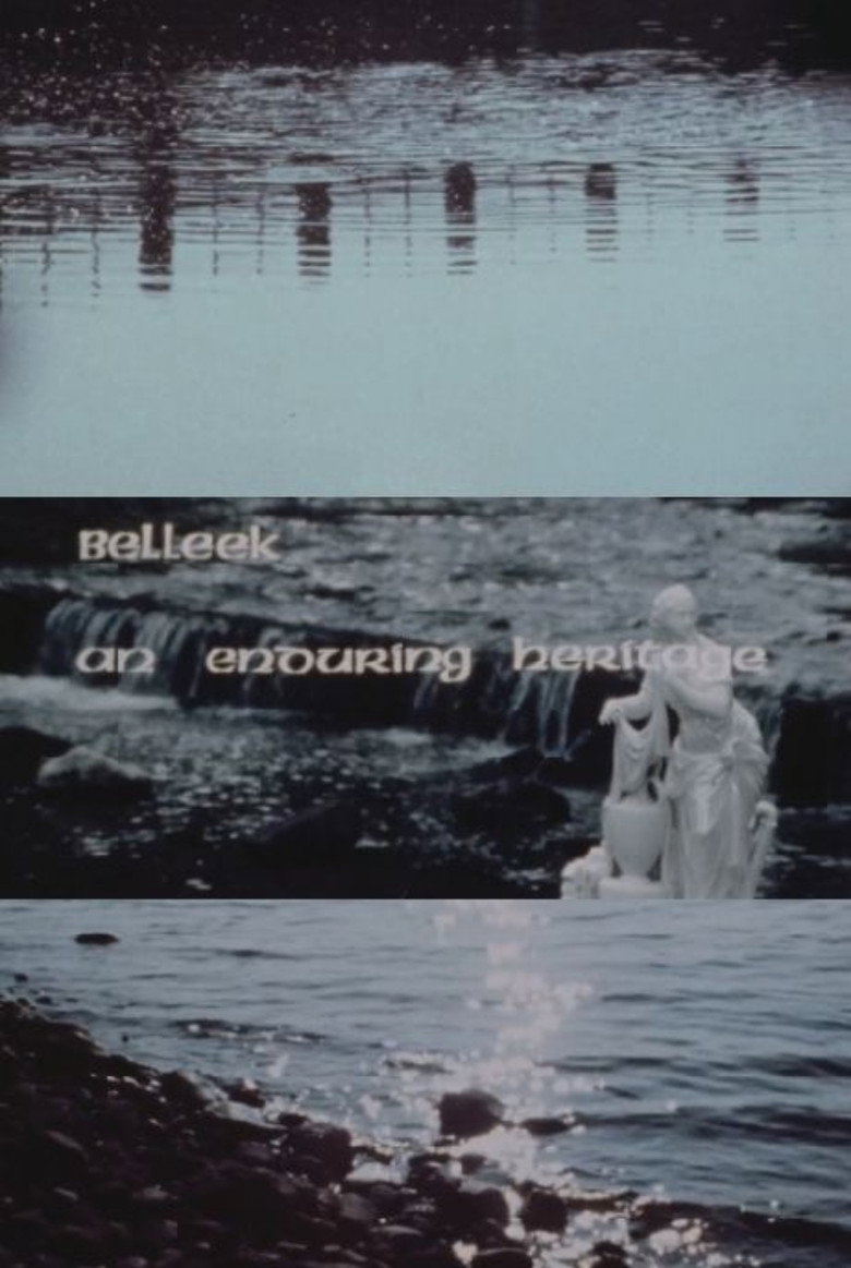 Imatge de Belleek, An Enduring Heritage