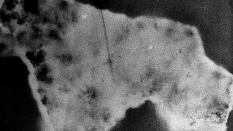 Gallery image from 60Tk5v2GgGZOodNiqHaTmqktq8k.jpg