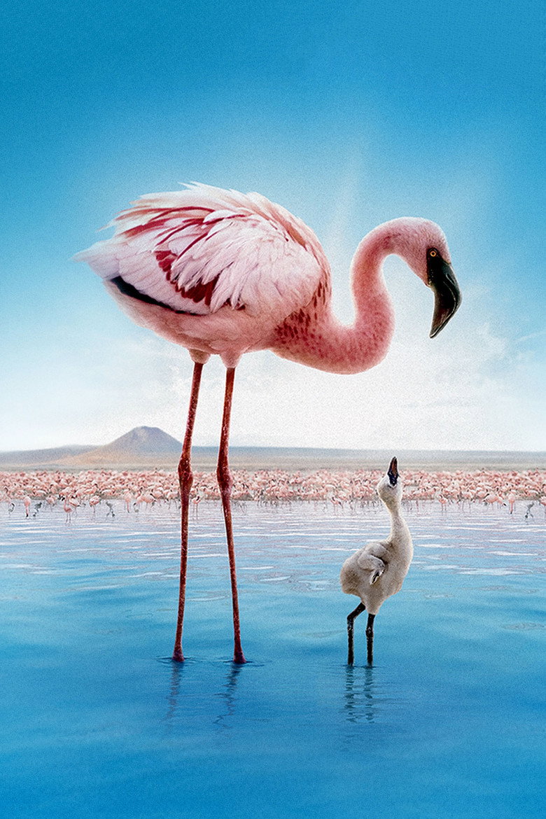 Imatge de The Crimson Wing: Mystery of the Flamingos