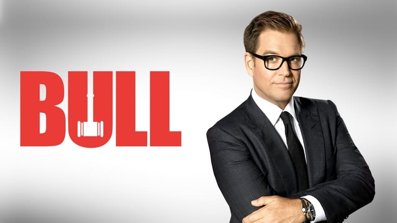 Bull (2016)