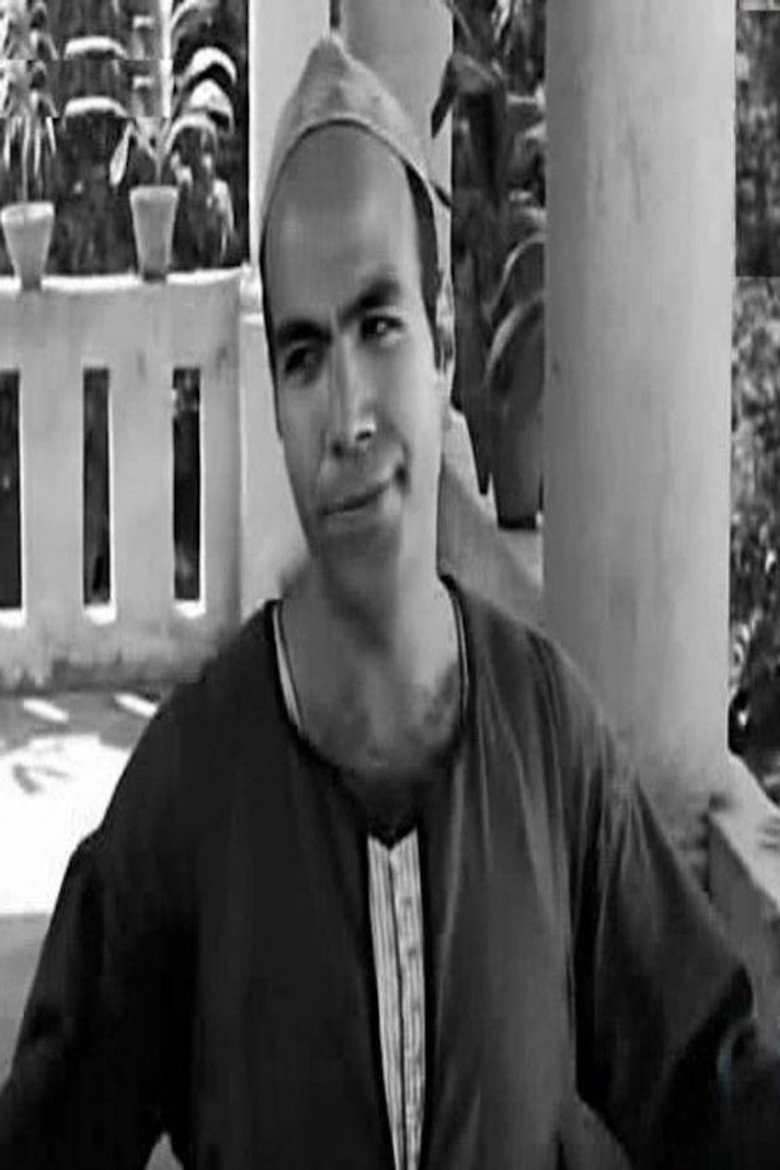 Mahmoud ElTony photo