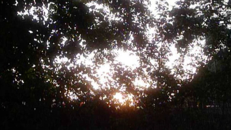 Garden Sanctuary still 3