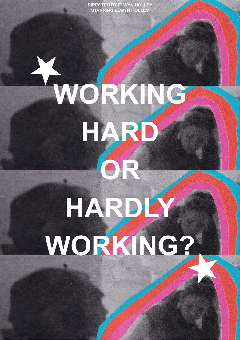 WORKING HARD OR HARDLY WORKING? poster