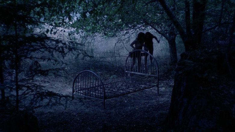 Film backdrop