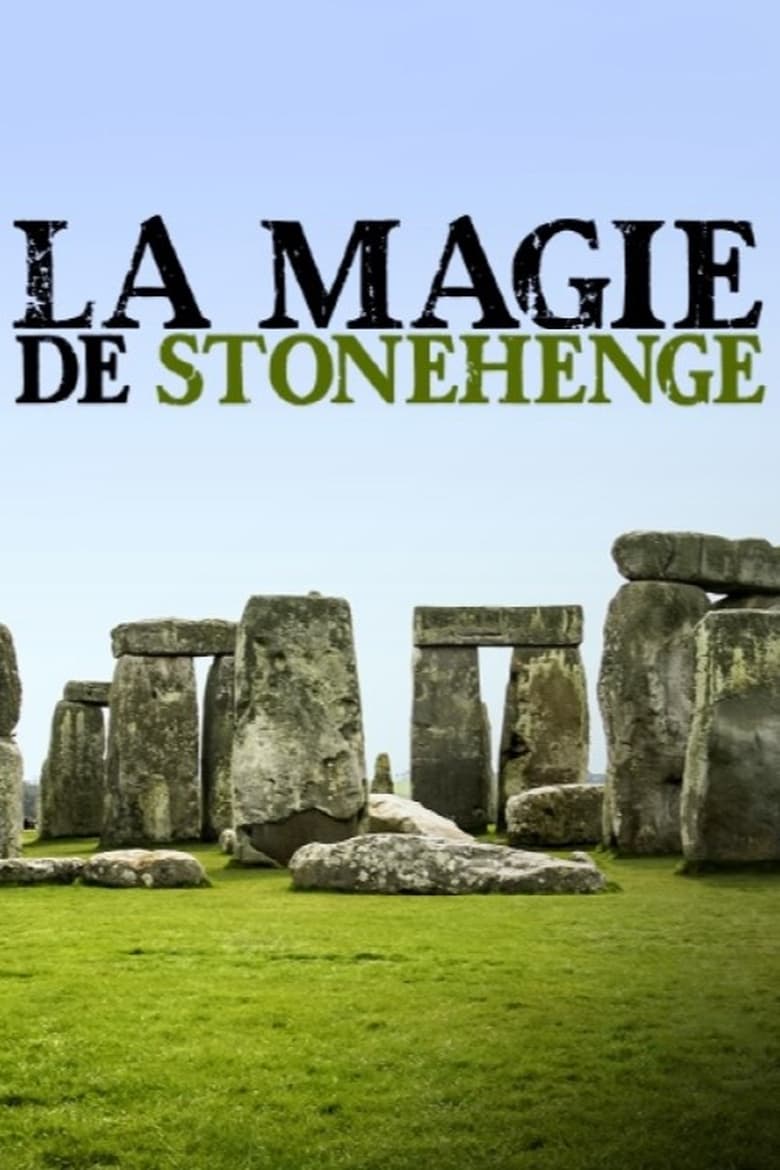The Stonehenge Enigma (2021)