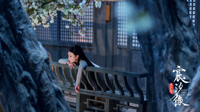 Love and Destiny image 9