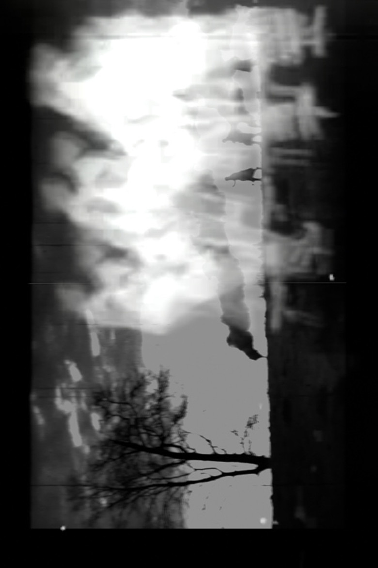 Foto-climas background