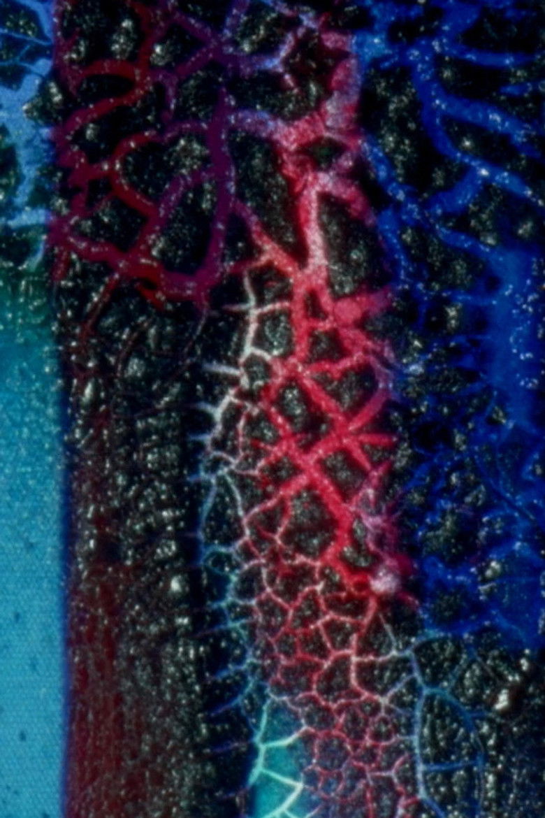 Imatge de Color Neutral