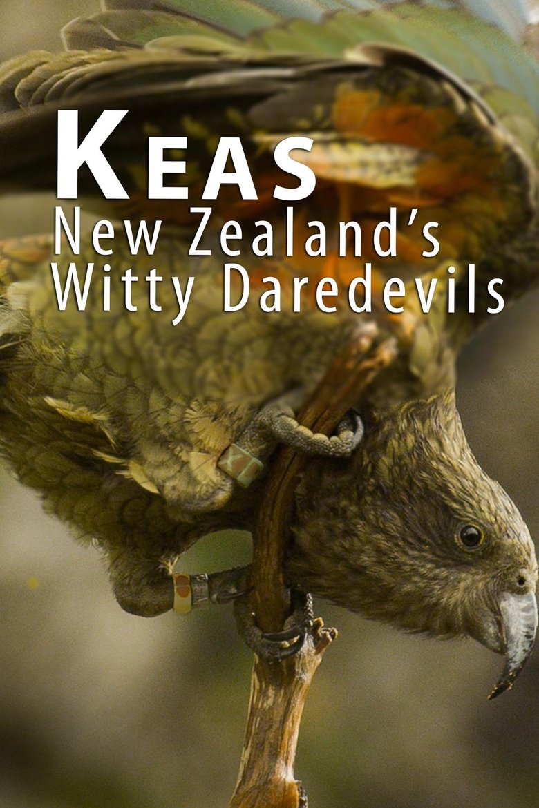 Keas - New Zealand's Witty Daredevils main poster