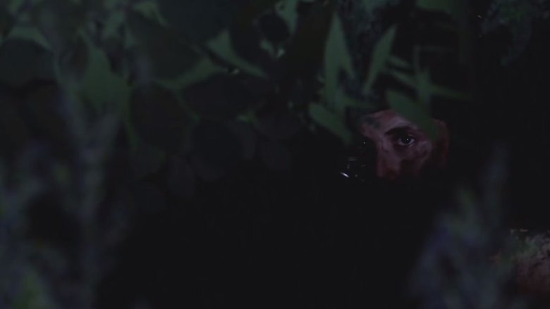 Still image for Full Moon season 1 episode 1: Episode 1