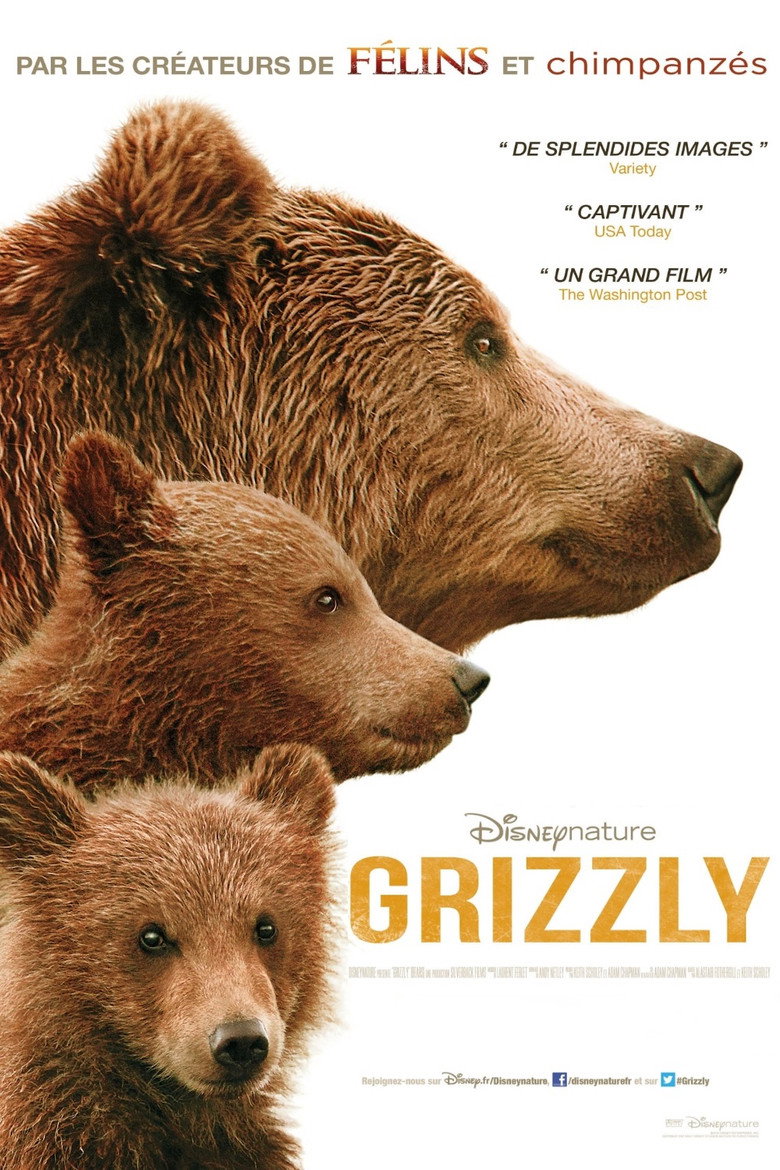 Póster la Película