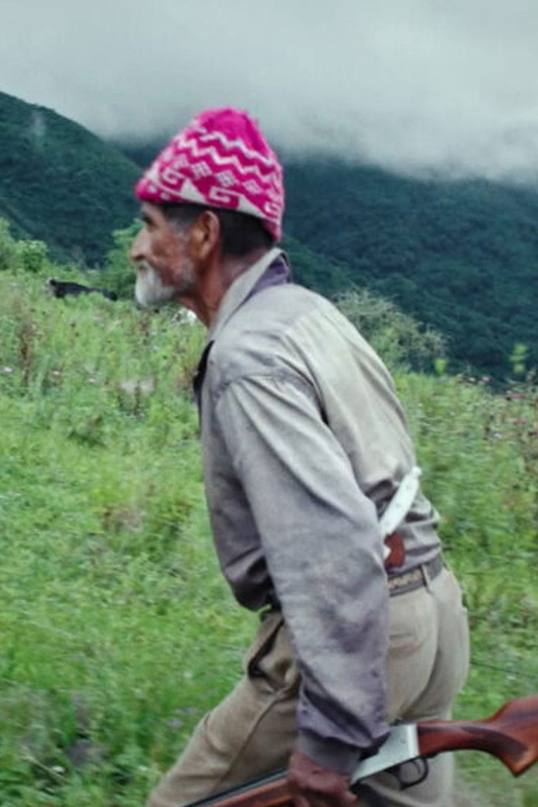 Imatge de La alegoría de la cueva