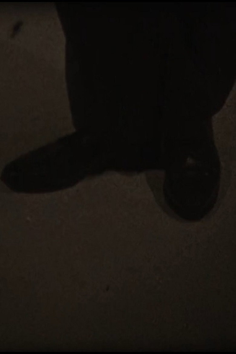 Imatge de The Ankle Switch