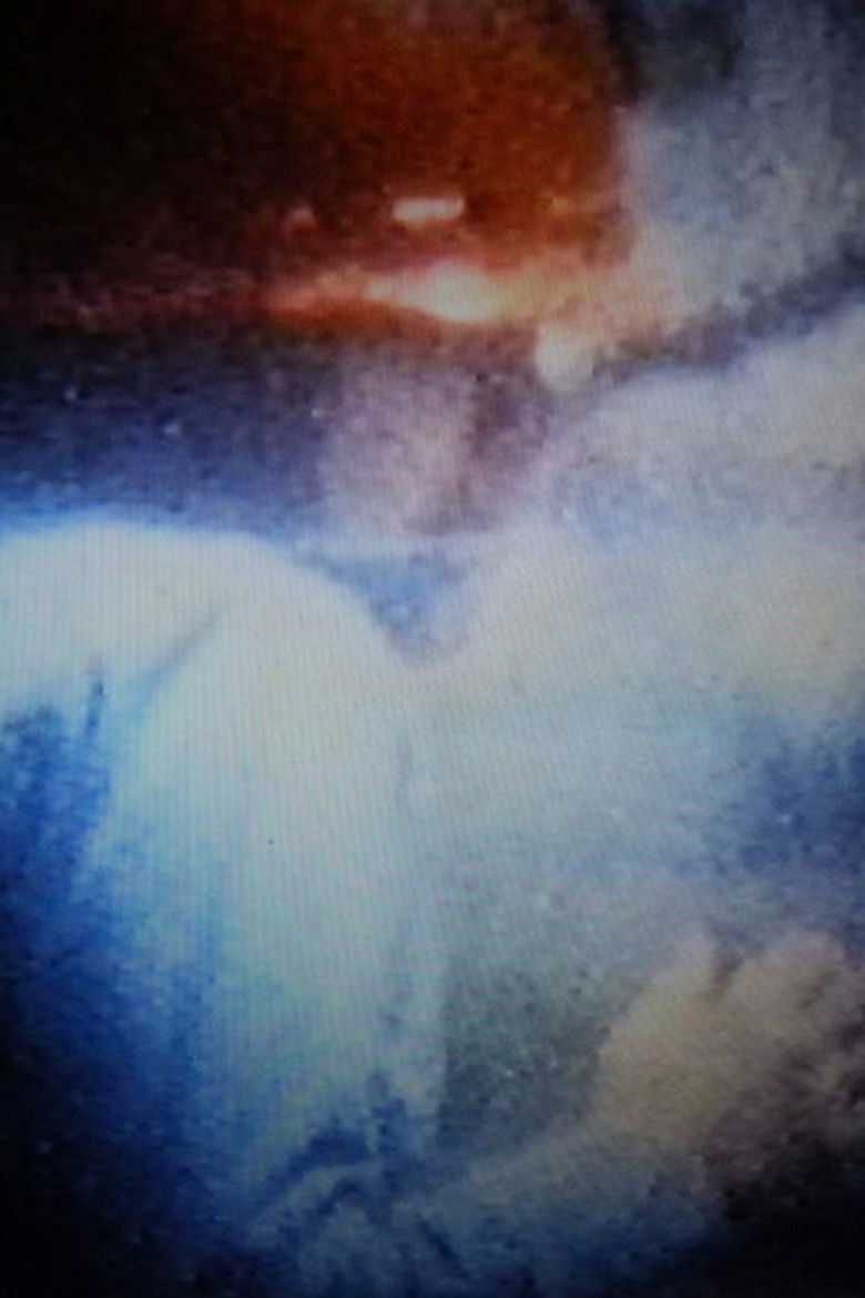 Imatge de ＴＢＸノイズ編