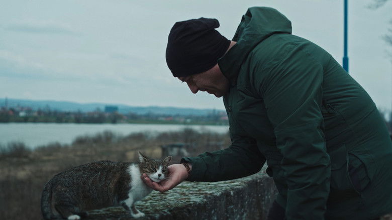 Gallery image from 64vzMl1jkyDlMEegFBqHyH1Z0o5.jpg