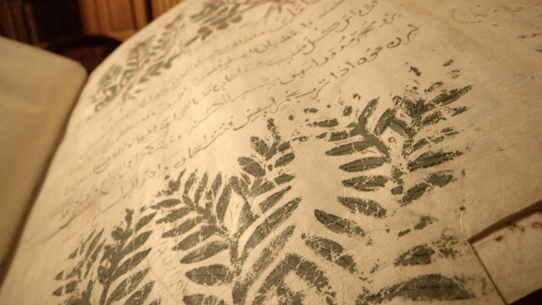 Gallery image from 655KTOsszAuQ0I3MghwMUnKTfU1.jpg