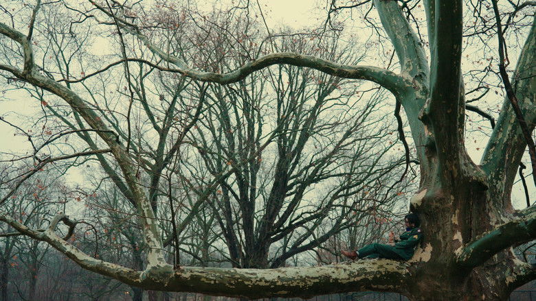 Gallery image from 65BraBfpUgzKn5Qg93HuX2EUFUi.jpg