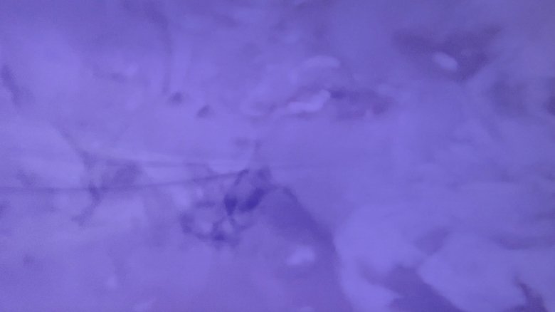 Gallery image from 65JbZeAFGbDBN1bgFfFJNinIZ3p.jpg