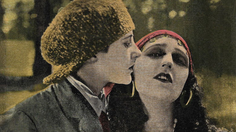 Image d'arrière-plan 3 du film The Dream Lady