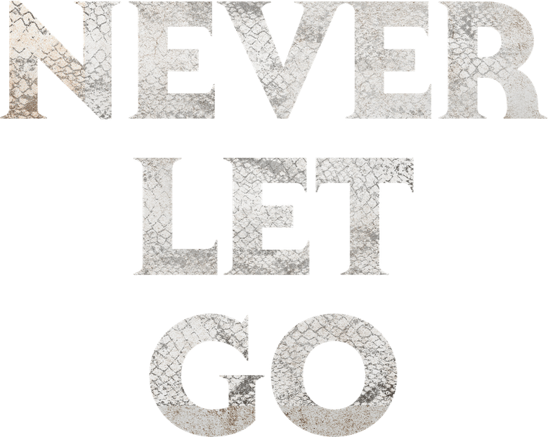 Never Let Go
