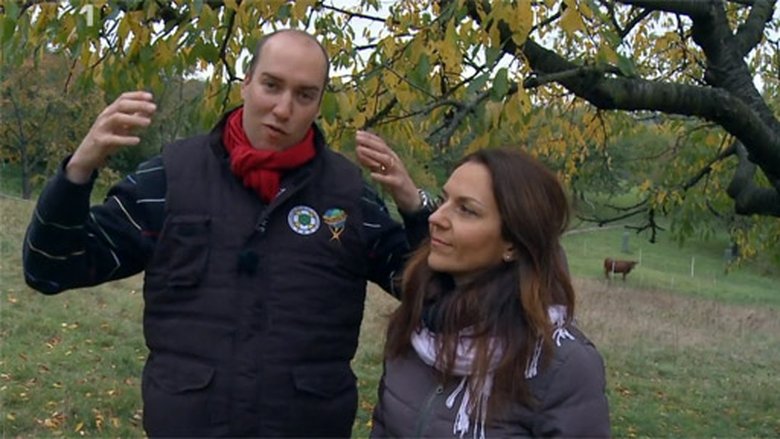 Kluci v akci Sezóna 1 Epizoda 300 bombuj