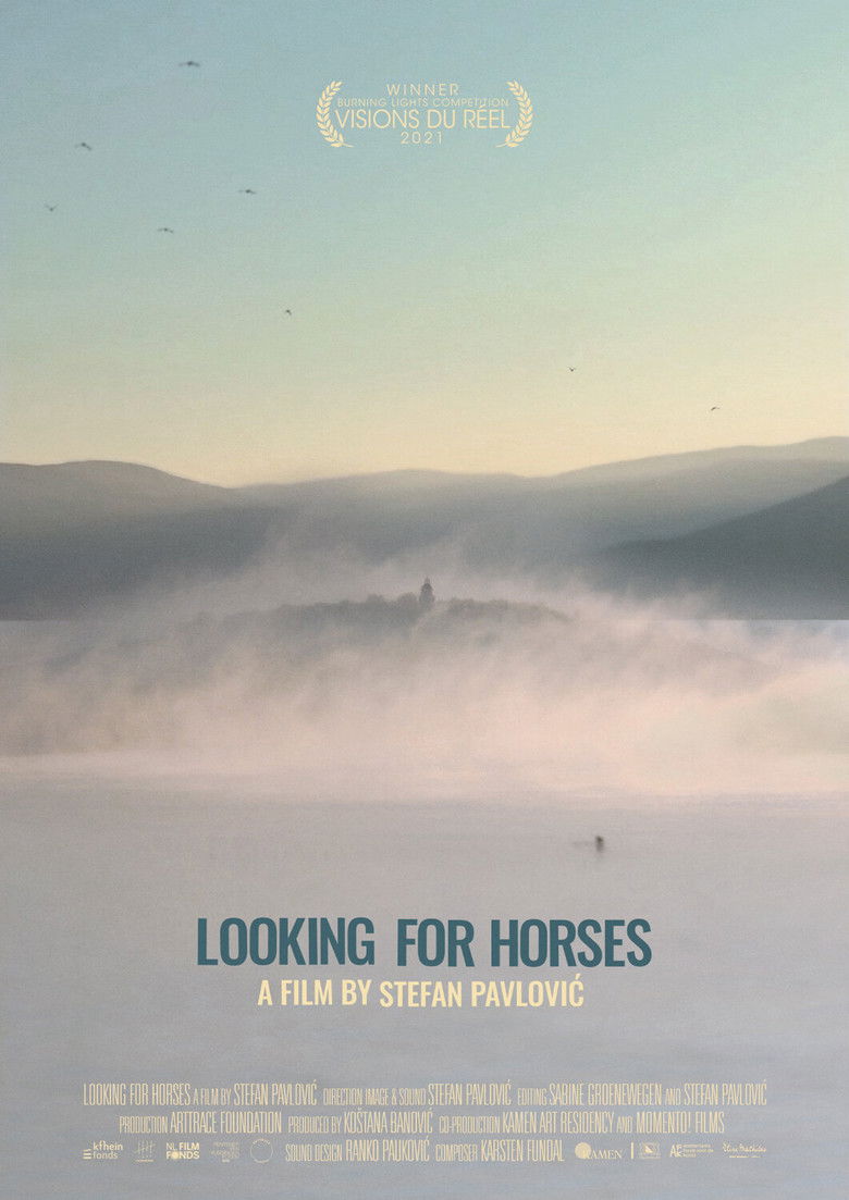 Imatge de Looking for Horses