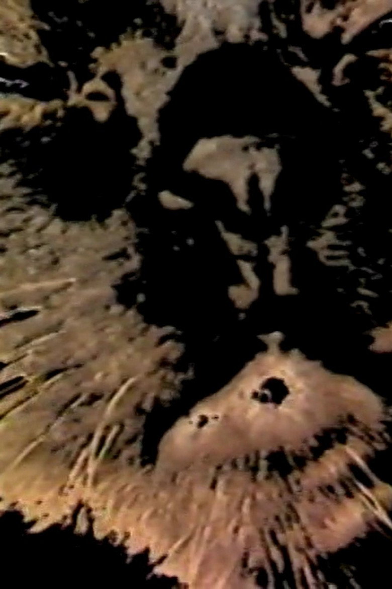 Imatge de Duo des Chats