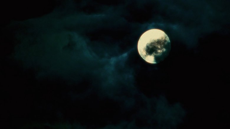 Gallery image from 66tgJWEEvmj8C5ElCLos6kHJ3GN.jpg