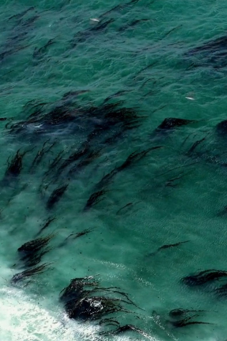 Imatge de Visions of an Island