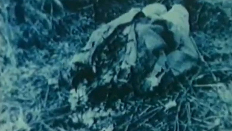 Gallery image from 67bBKRE7nwbuxddBs0wZpeT3haj.jpg