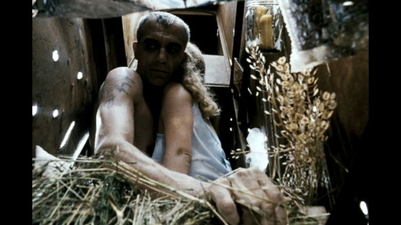 Image d'arrière-plan 4 du film Лебедине озеро. Зона