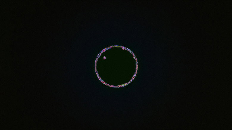 Imatge de Devil's Club