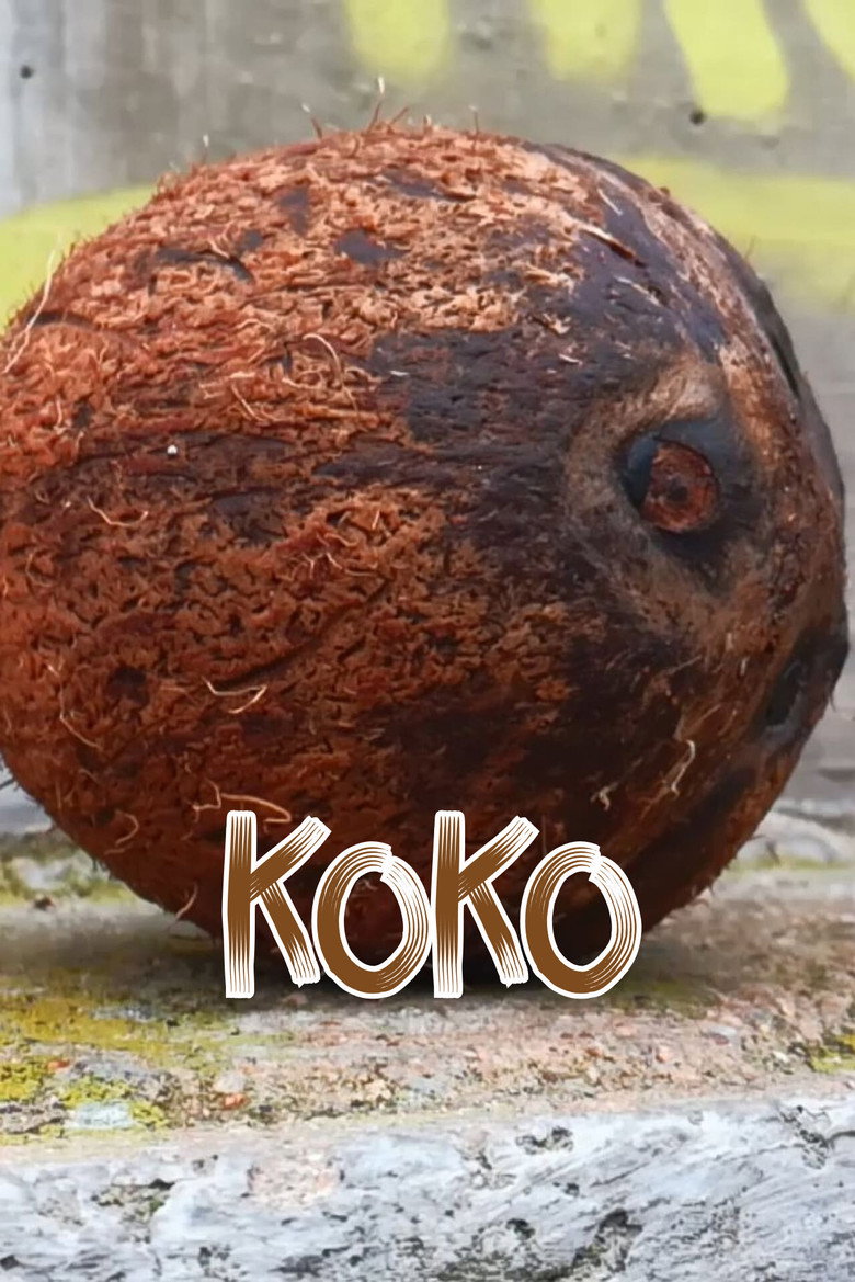 Imatge de Koko