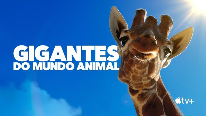 Gallery image from 6AEwdnhgnP0ujdwScU62IgG52iE.jpg