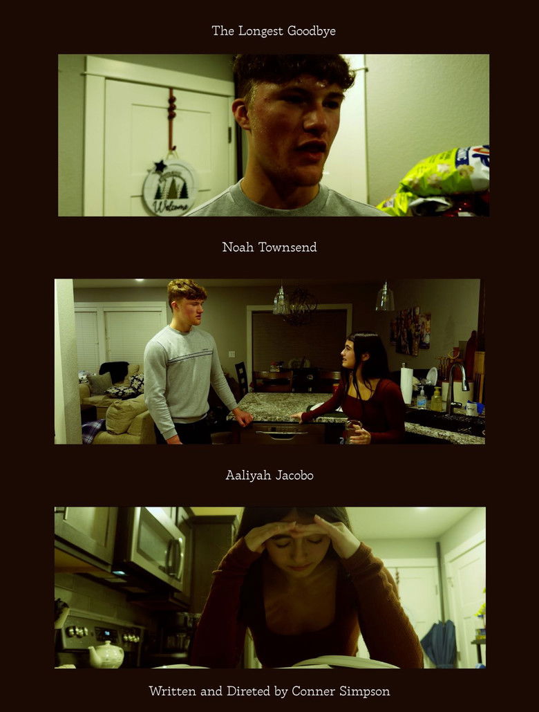 Imatge de The Longest Goodbye