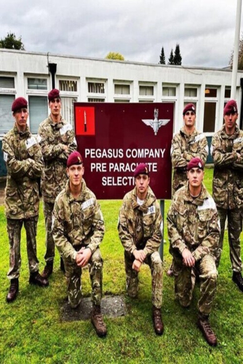 Pegasus Company background