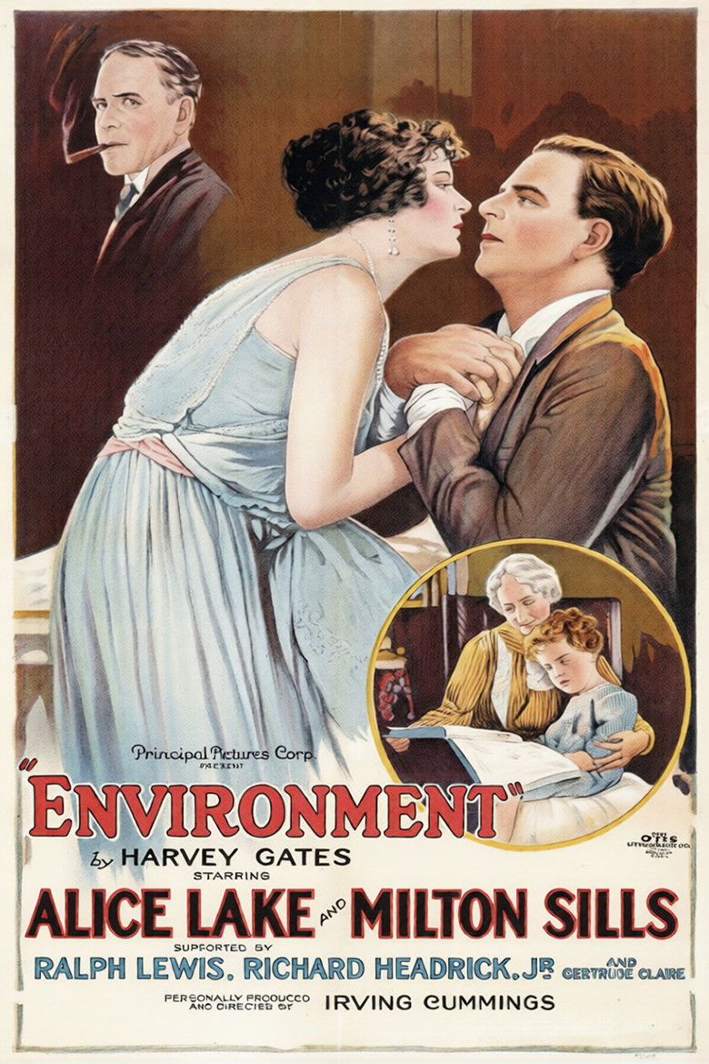 Imatge de Environment