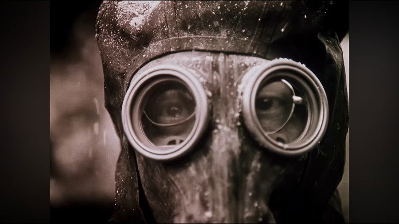 Gallery image from 6BD81TMUkE8vLiDS1Q7njl2iLOM.jpg