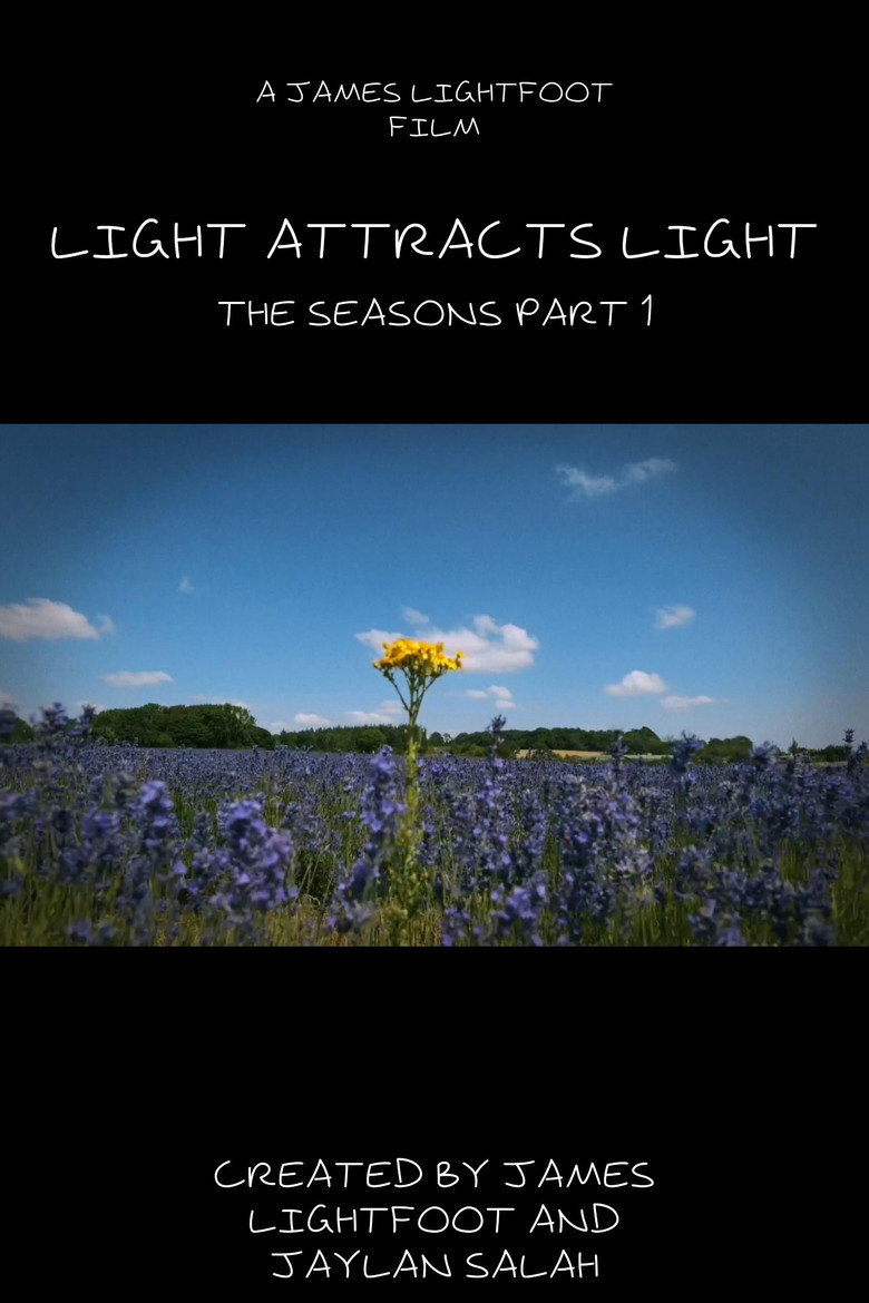 Light Attracts Light