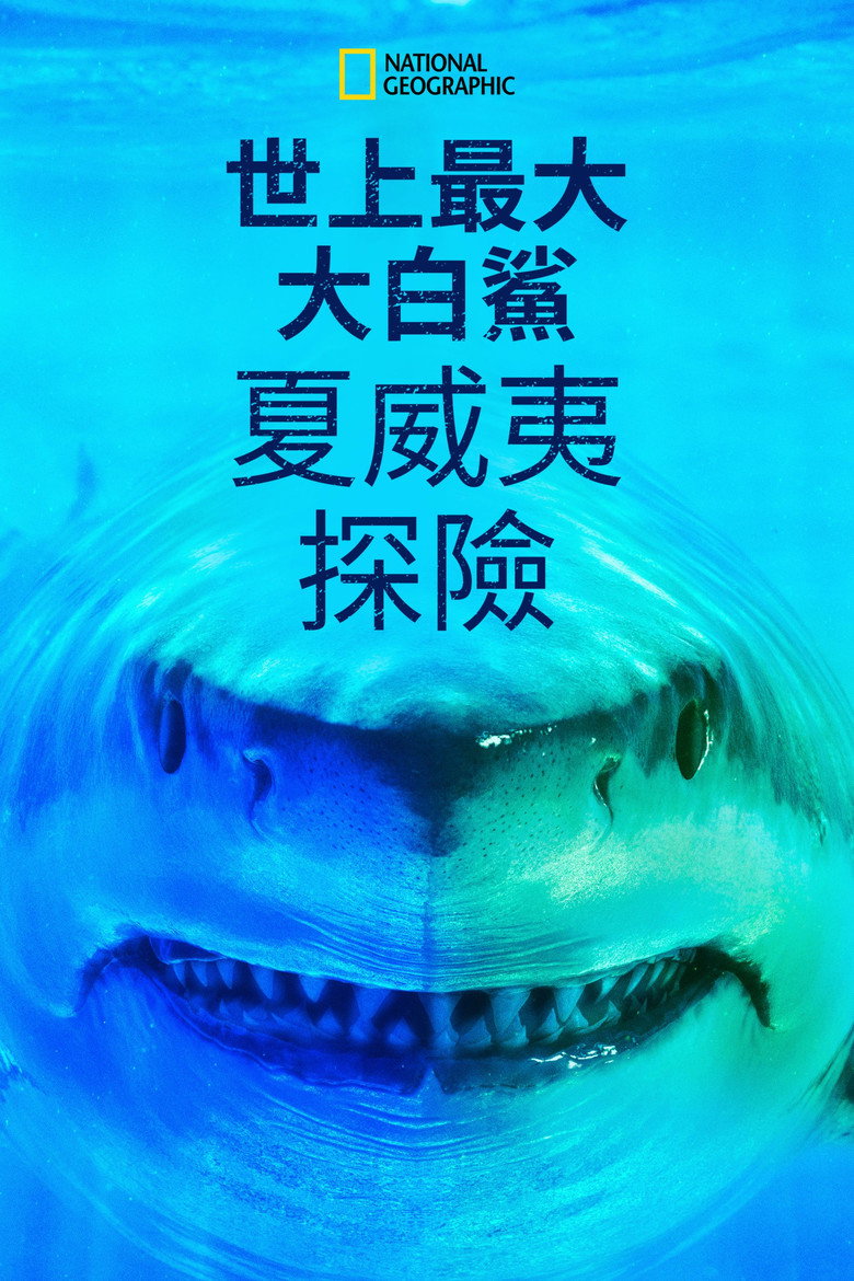 世上最大大白鲨:夏威夷探险 封面海报