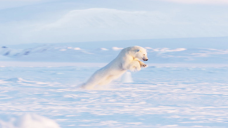 Still from Frozen Planet II - Season 1 Episode 2