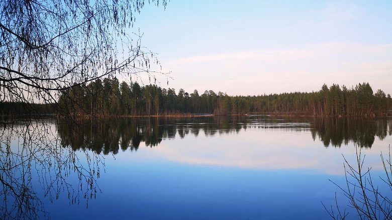 Still image for Den stora älgvandringen season 1 episode 20: Slow tv day 20