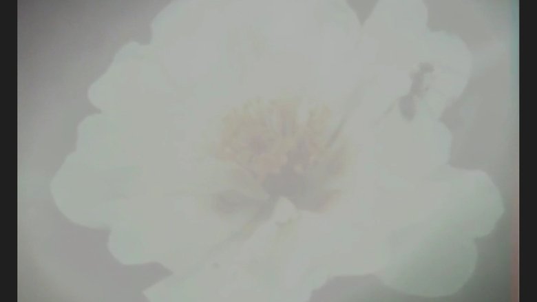 Gallery image from 6BgRVtPXEpXHtmexypfQbKBYicb.jpg