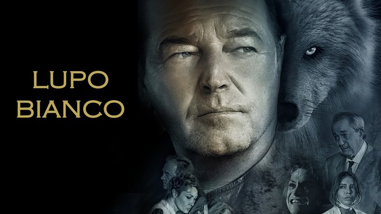 Gallery image from 6BjtnYmo0NSpW8vHwIyKsPtj2b0.jpg