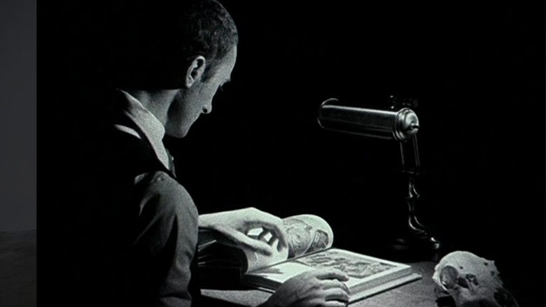 Gallery image from 6CJXYyOgvgak3iz4ZvmcfBI2UCU.jpg