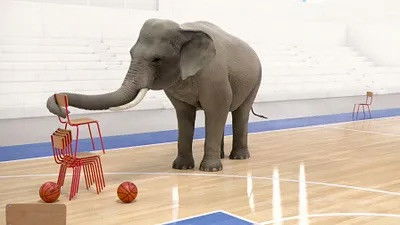 Still image for Athleticus season 1 episode 29: Episode 29