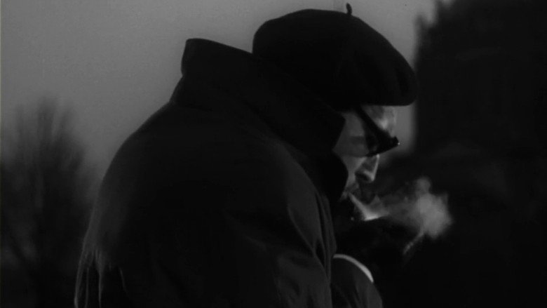 Seventeen Moments of Spring Photo 8