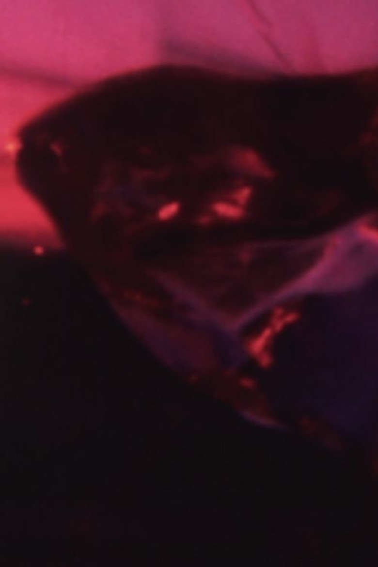 Imatge de 水晶の舟は光の海を泳ぐ