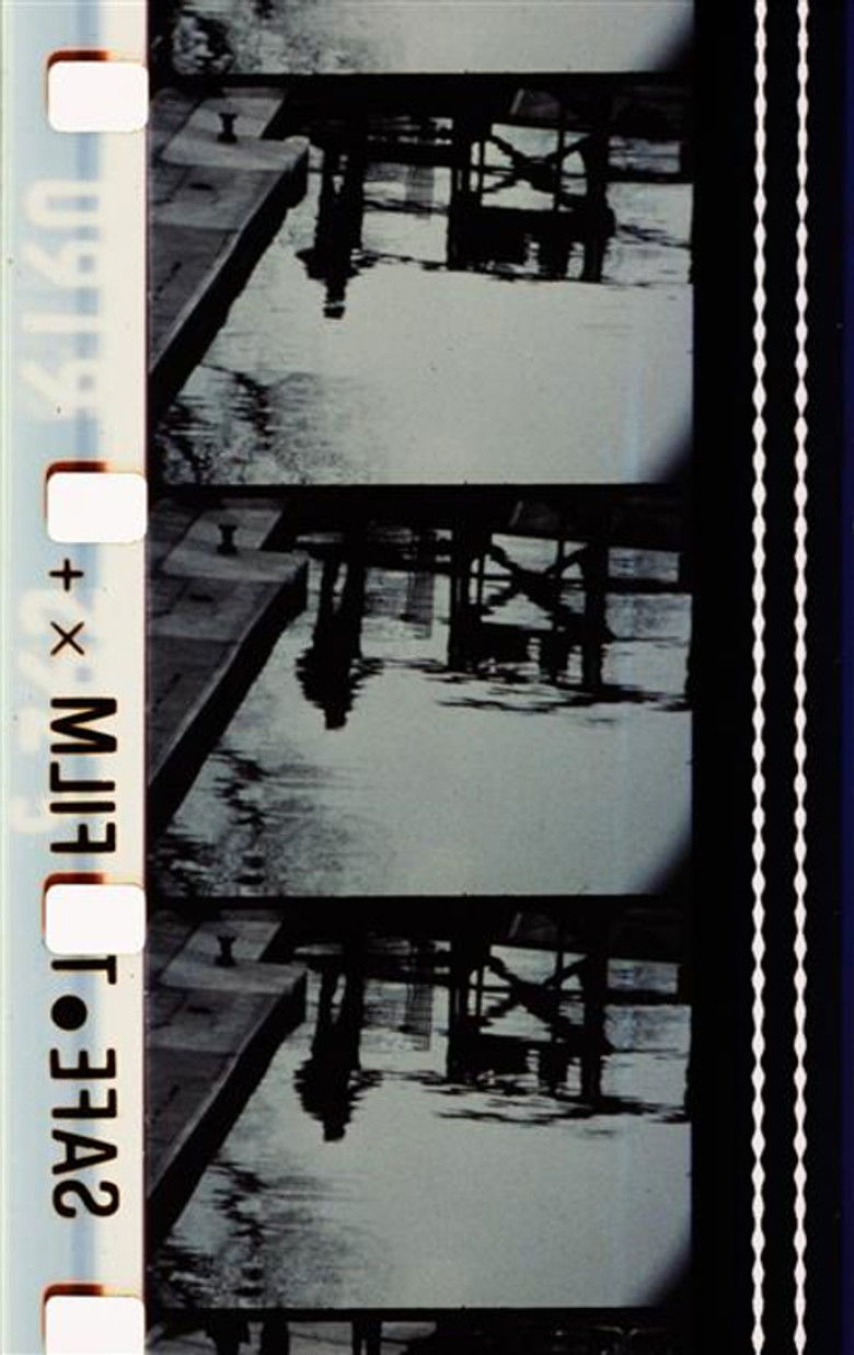 Imatge de Pluie de roses (à Rose Lowder)